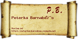 Peterka Barnabás névjegykártya